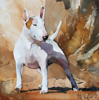 Bullterrier for Jonathan by PawelGladkow