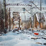 Winter on the rail II