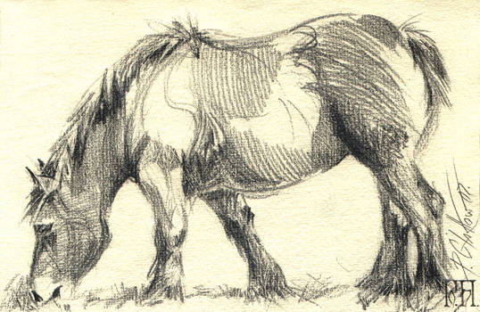 Horse #01