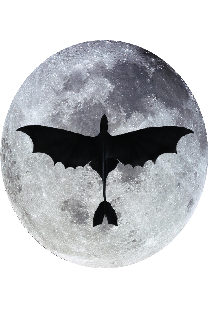 toothless shadow design for t shirt by sakurain93 on DeviantArt