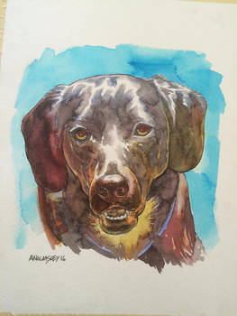 another dog portrait