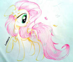 Fluttershy