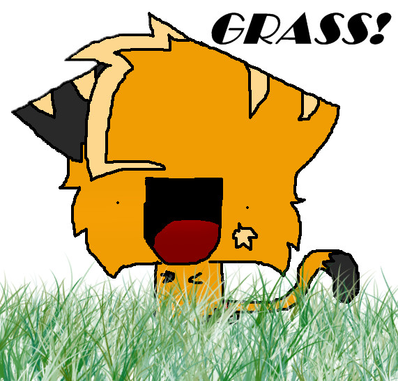 Kabo.... he likes grass also