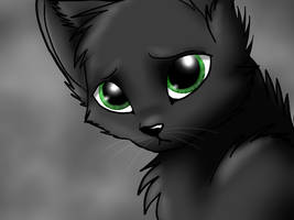 RavenPaw