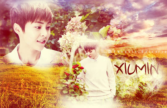 #1EB Xiumin