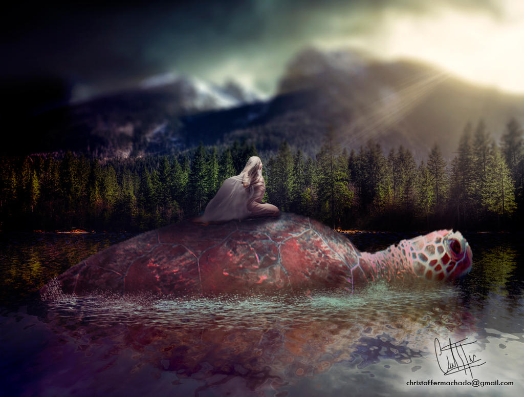 The Red Turtle by dhrisjm on DeviantArt