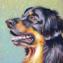 Oil pastel dog
