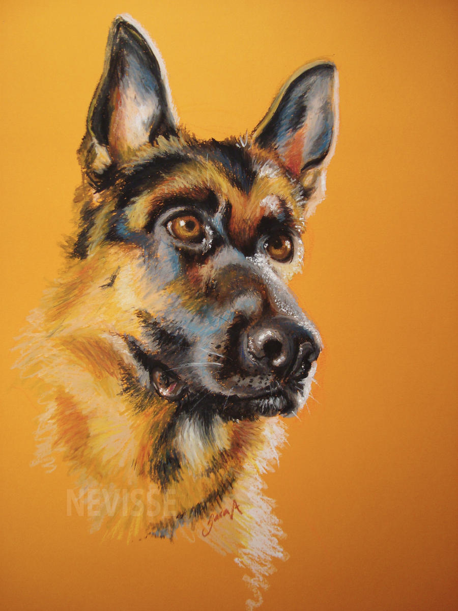 Oil pastel German shepherd by Nevisse on DeviantArt Oil pastel German shepherd by Nevisse on DeviantArt