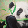 Oil pastel panda