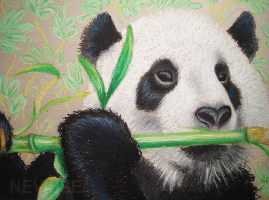 Oil pastel panda