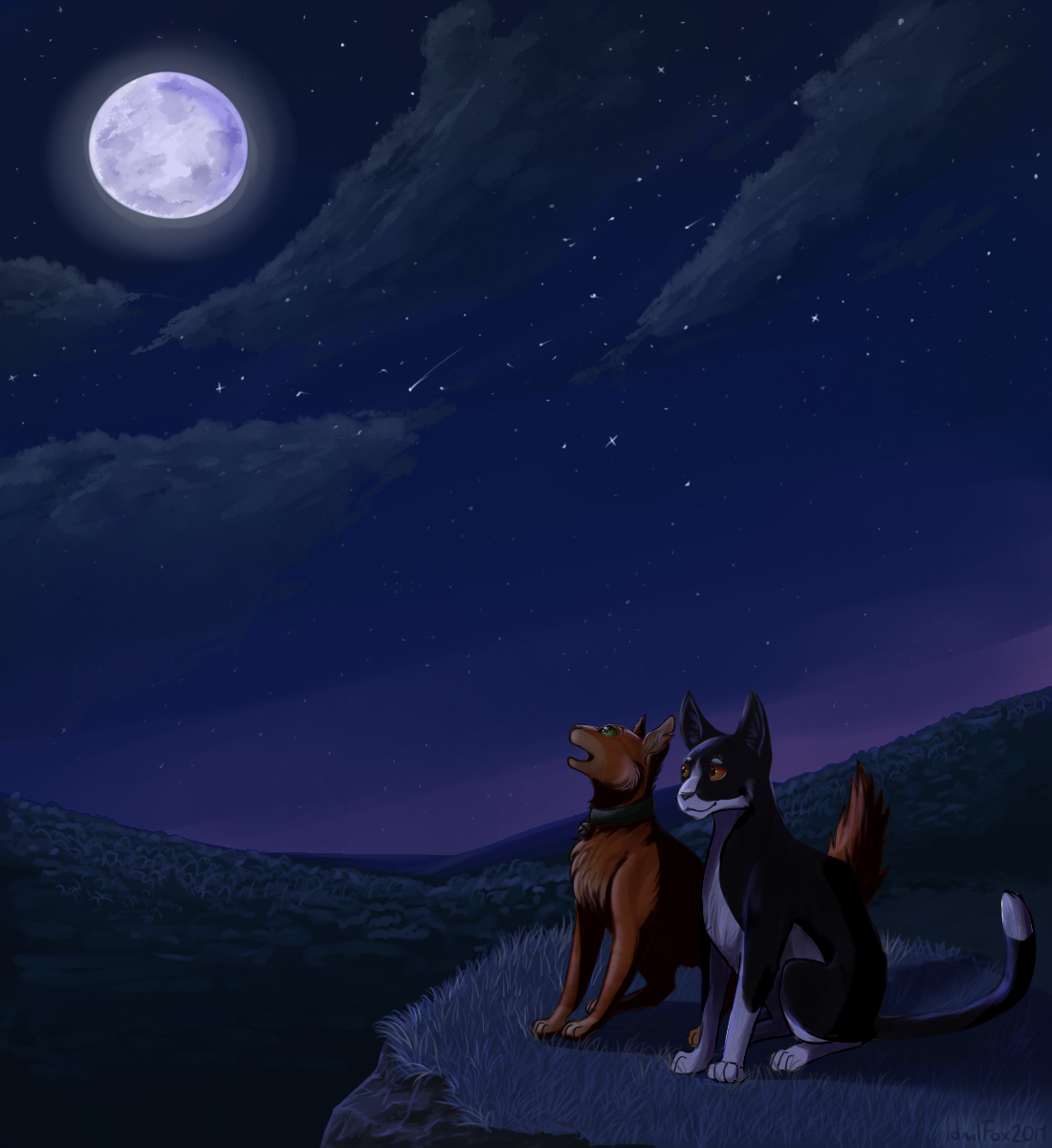 Полночь восход луны. Коты Воители Звёздный Луч. Коты-Воители. Полночь. Восход Луны. Звёздный Луч и Джейк. Звезда Луч коты Воители.