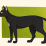 Ravenpaw