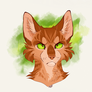 Firestar