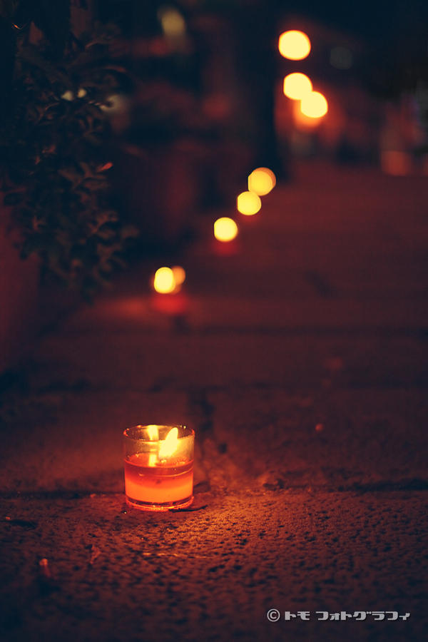 Candle Road by WindyLife