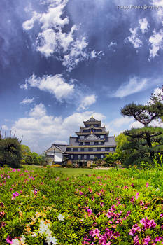 Okayama Castle