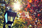 Lovely autumn day by WindyLife