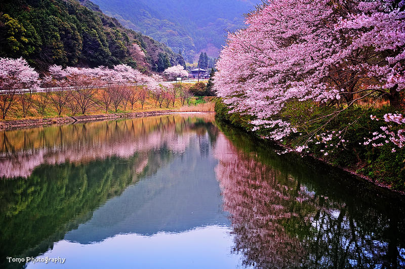 Природный потенциал японии. Синано река. Синано Япония. Река Гокасе Япония. Река Санзу Корея.