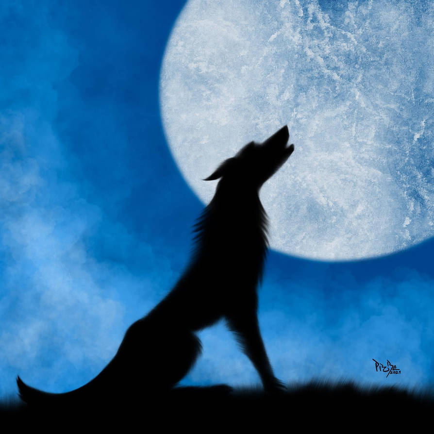 Howling Wolf by pro8e on DeviantArt