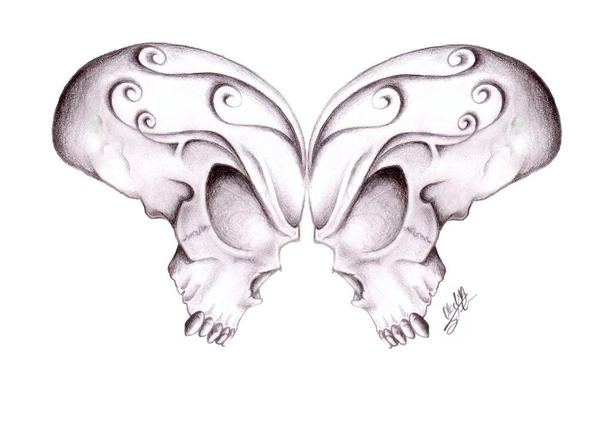 butterfly skulls