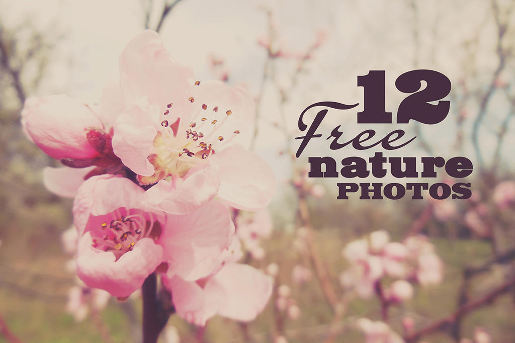 12 Free Nature Photos