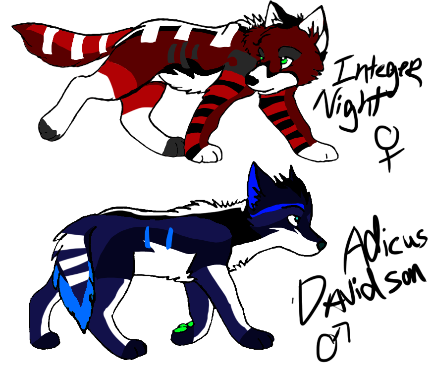 Adicus Davidson and Integer Night (RxZ pups)