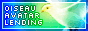 Birdy Button Birdy button by haybales56 on DeviantArt