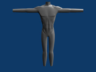 test human body front view