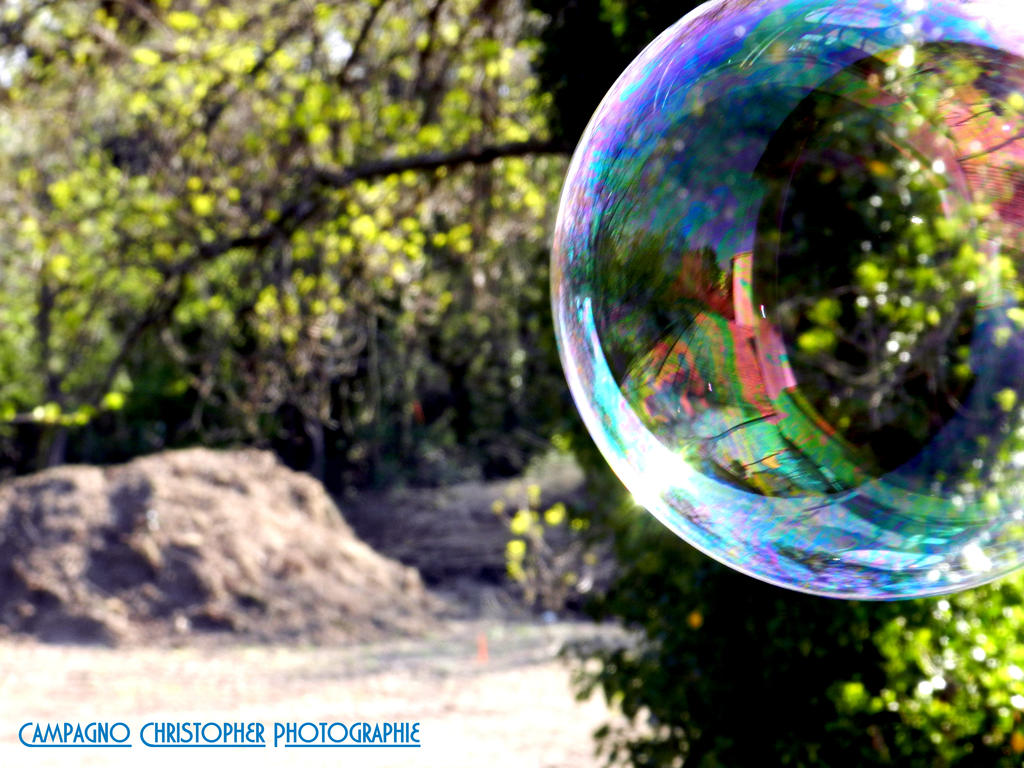 bubble colorfull