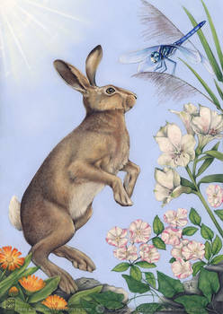 HARE and DRAGONFLY ALLEGORY