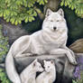 WHITE WOLF ALLEGORY