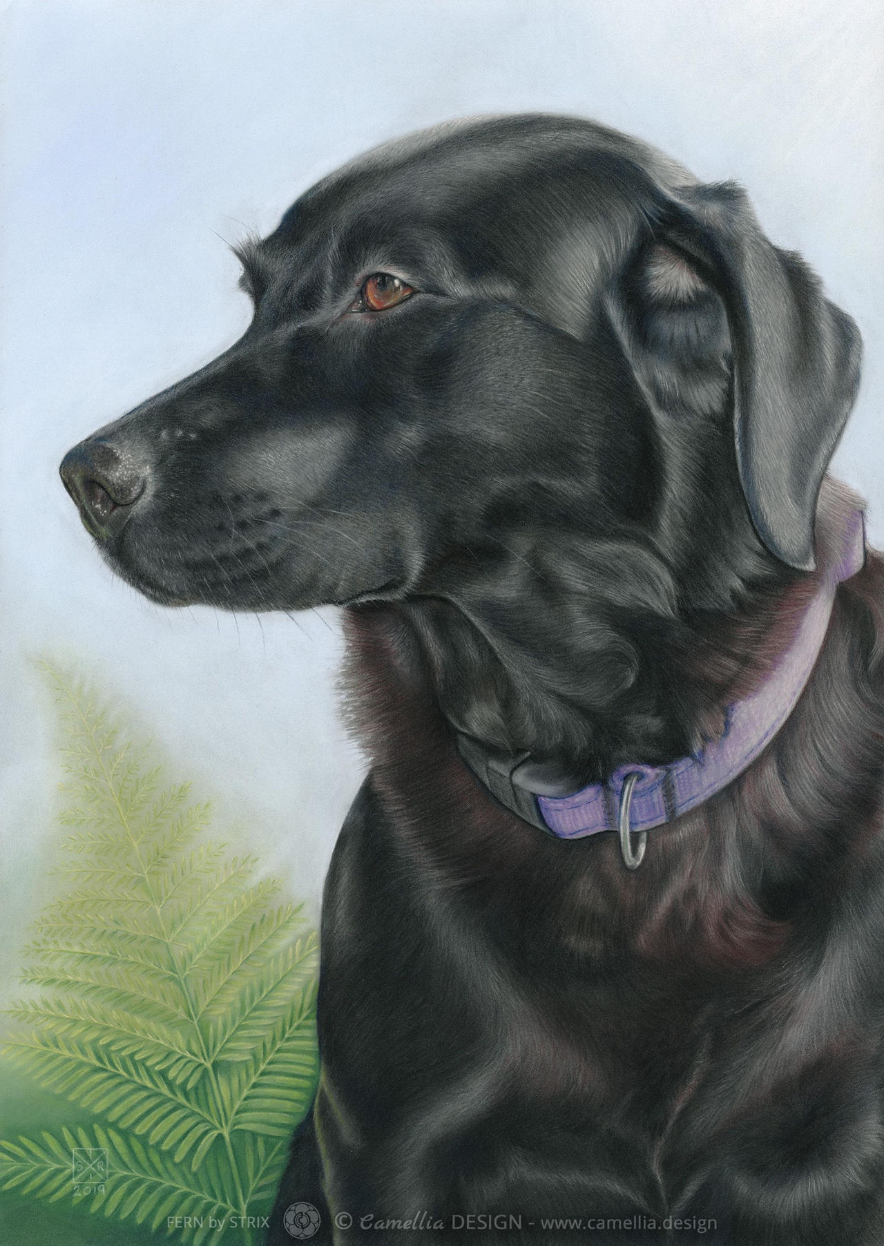 Black Lab Deviantart FERN the black Labrador by STRIX-artist on DeviantArt