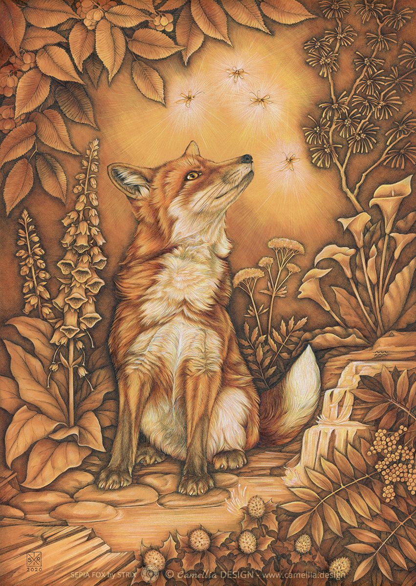 SEPIA FOX