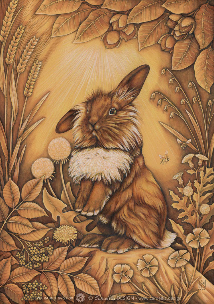 Sepia Point Rabbit SEPIA RABBIT by STRIX-artist on DeviantArt