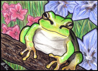 ACEO 03 'Frog'