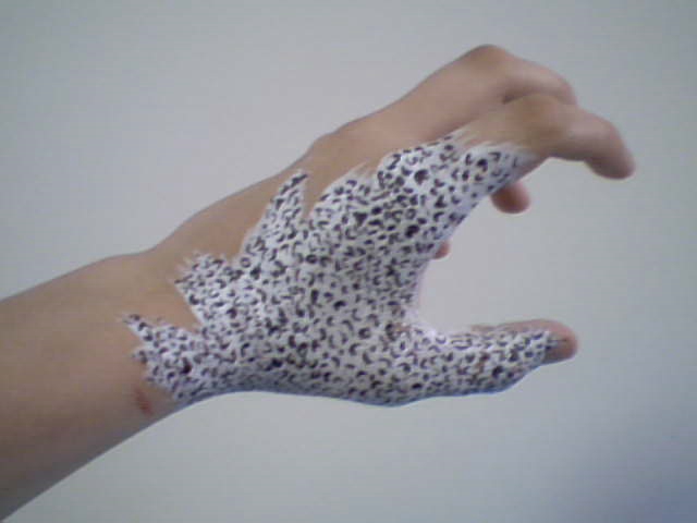 Hand-Snow Leopard1