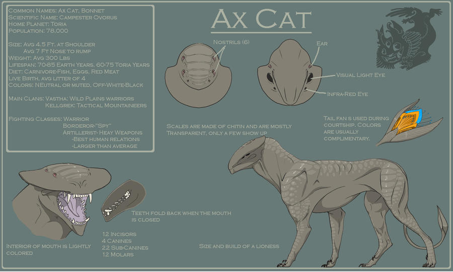 Ax Cat Reference V1 by Pythosart on DeviantArt