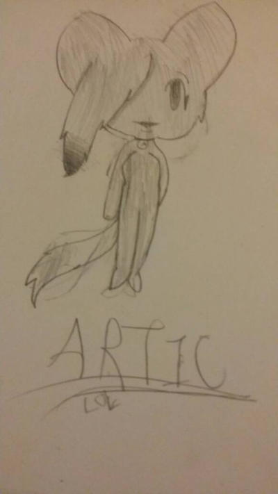 Aritic Drawing Artic by ExoticDrawings on DeviantArt