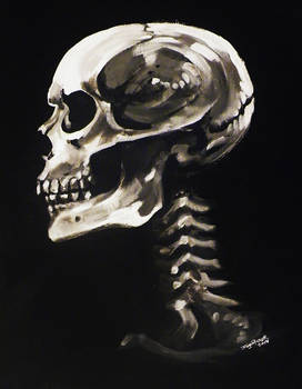 skull in profile