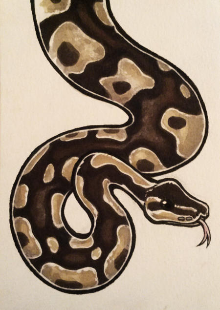 ball python by undead-medic on DeviantArt
