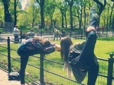 Stretching in the Park