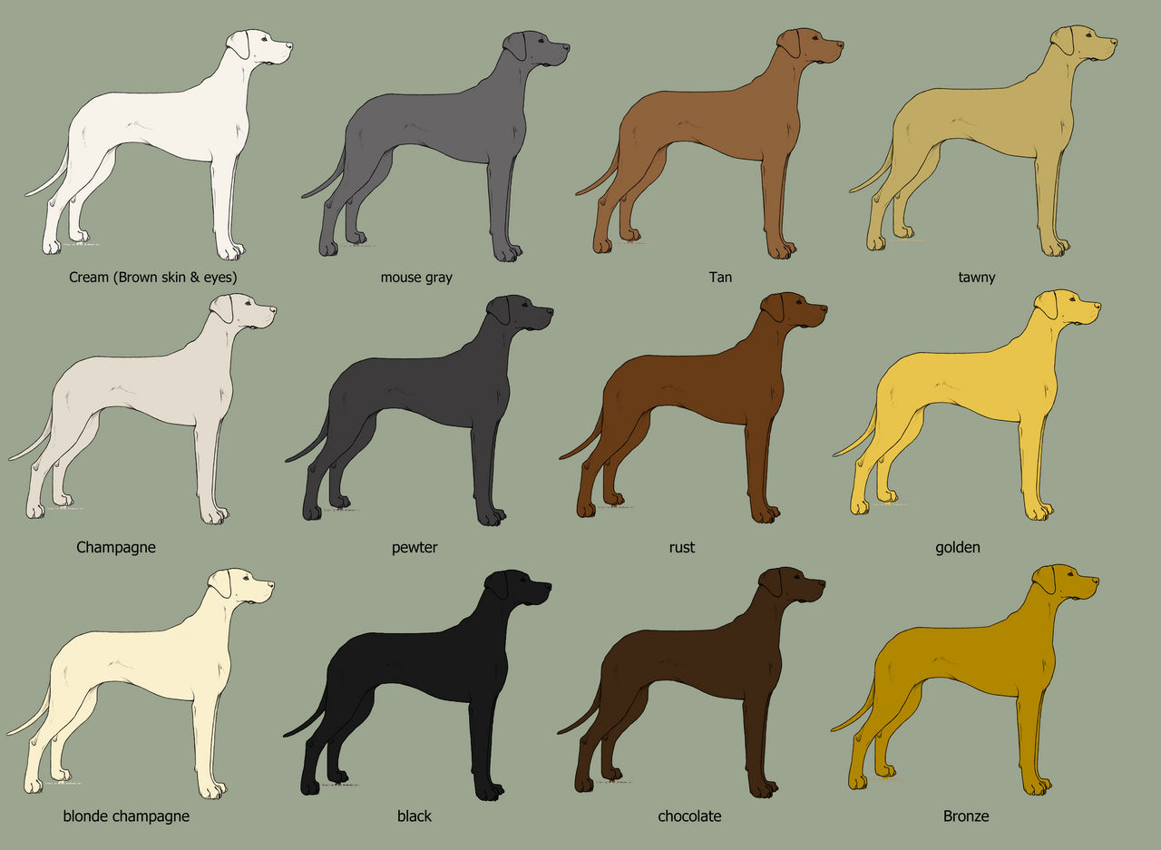 Dog Color Swatch by Howl-n-Hart on DeviantArt