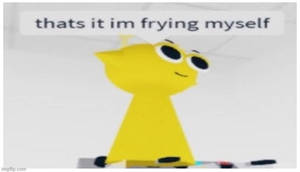 Thats it im frying myself
