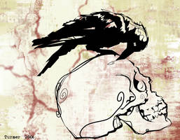 The Crow and The Skull