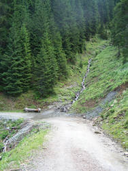 Alps path