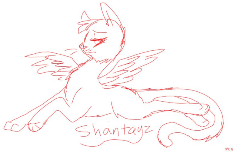 Shantayz Sketchy