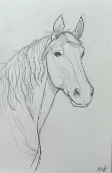 Horse