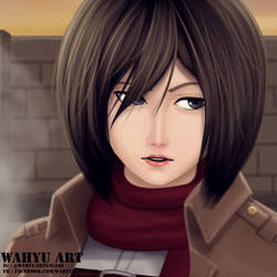 MIKASA