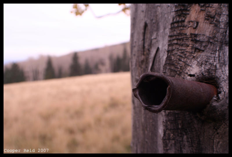 Pipe Tree by barrel-maker on DeviantArt