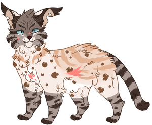 hawkfrost design