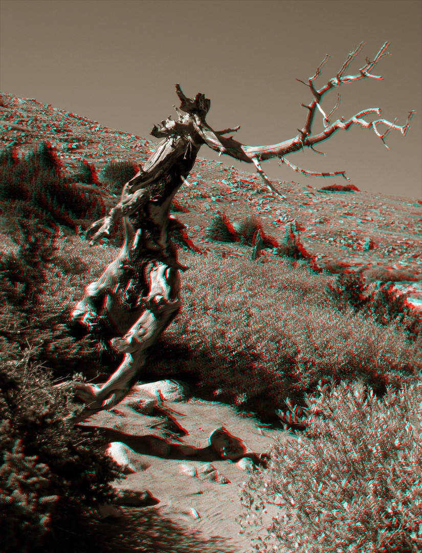 Get Offa My Lawn - Anaglyph